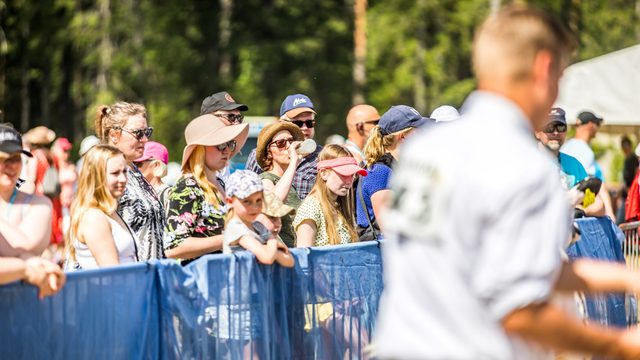 kotieläinkehäohjelma