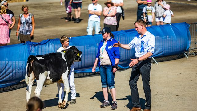 young breeders Farmari 2022