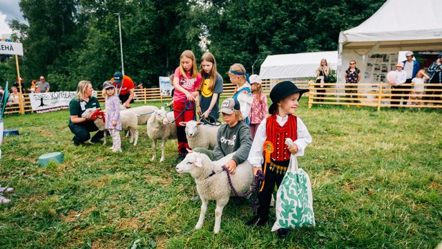 Karitsankesyttäjäkilpailun kisaajat