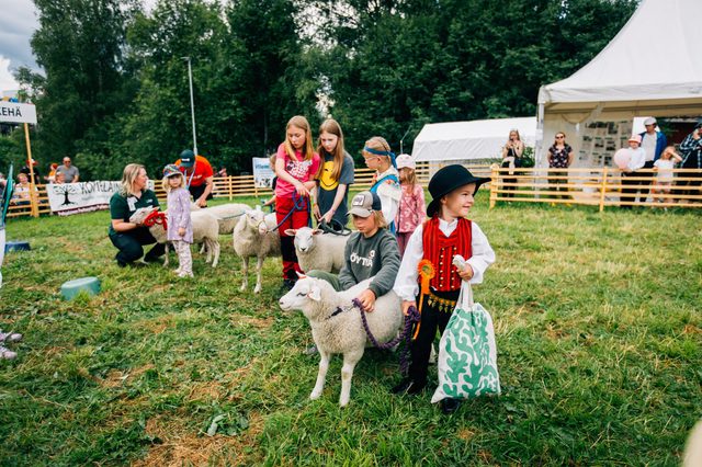 Karitsankesyttäjäkilpailun kisaajat