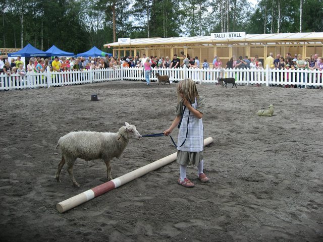 Karitsan Kesyttaja2