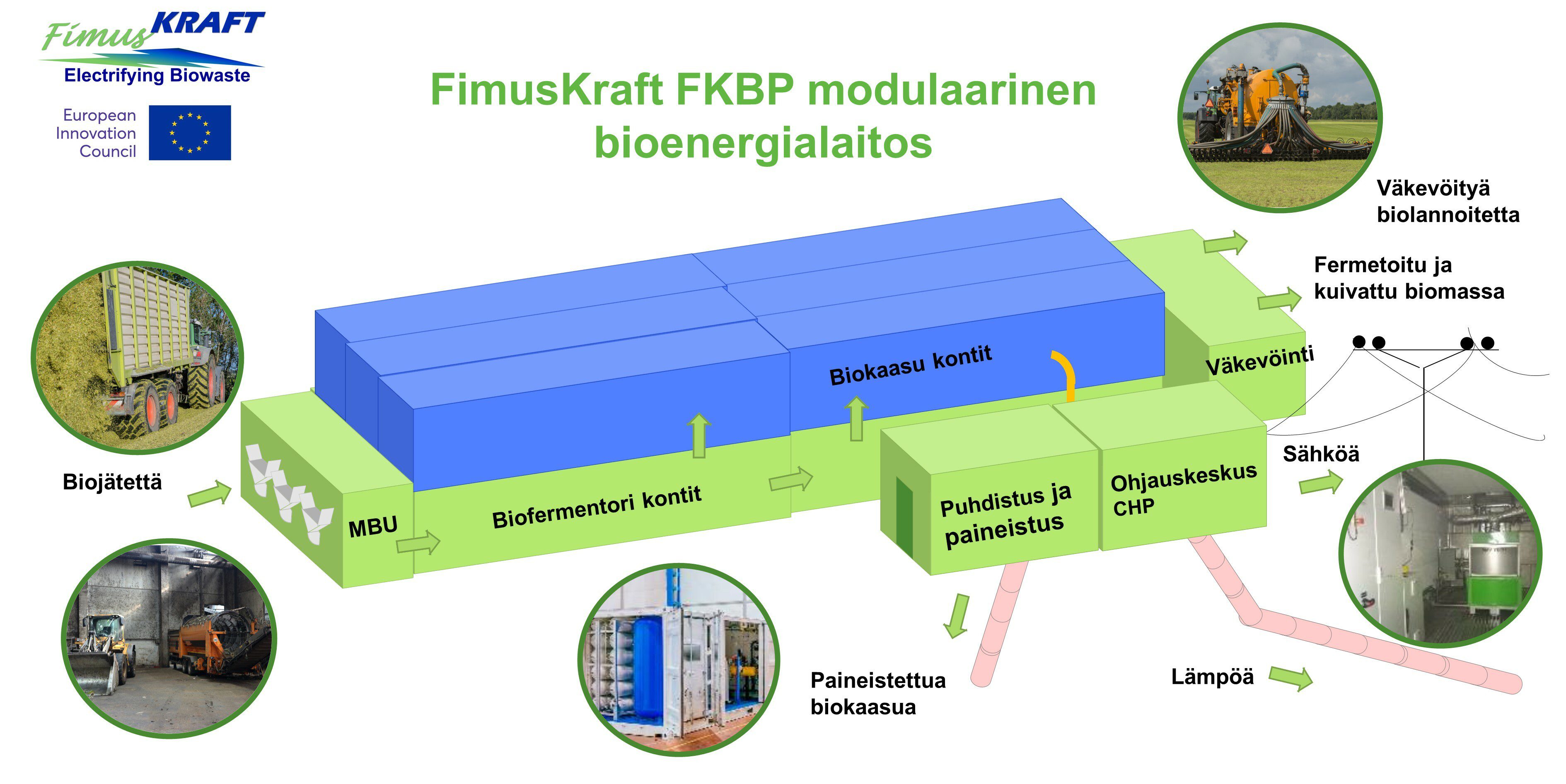 fimus