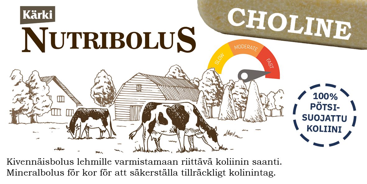 Kärki Nutribolus Choline