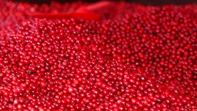 Wemmi sadonkorjuumarkkinat puolukat