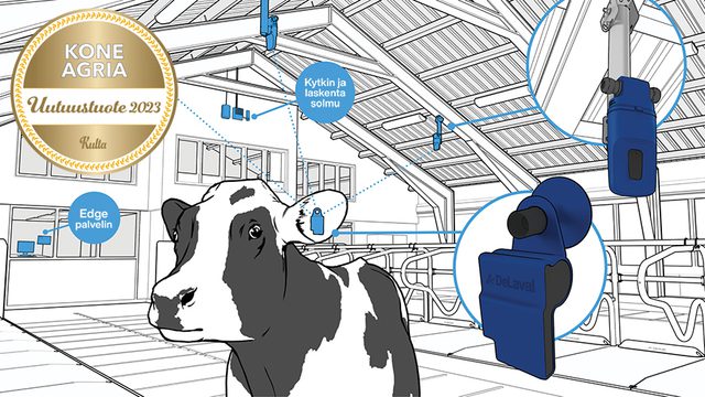 Navettakuva kultamitali